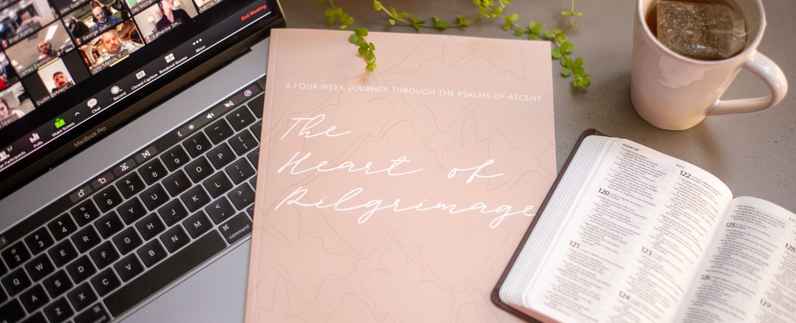 Free Online Bible Study – Starts October 28